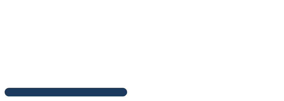 theme-logo-alt